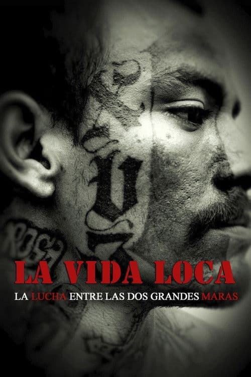The Crazy Life (2008) poster