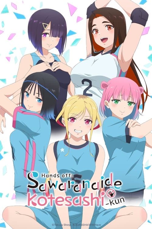 Hands off: Sawaranaide Kotesashi-kun (2025) poster