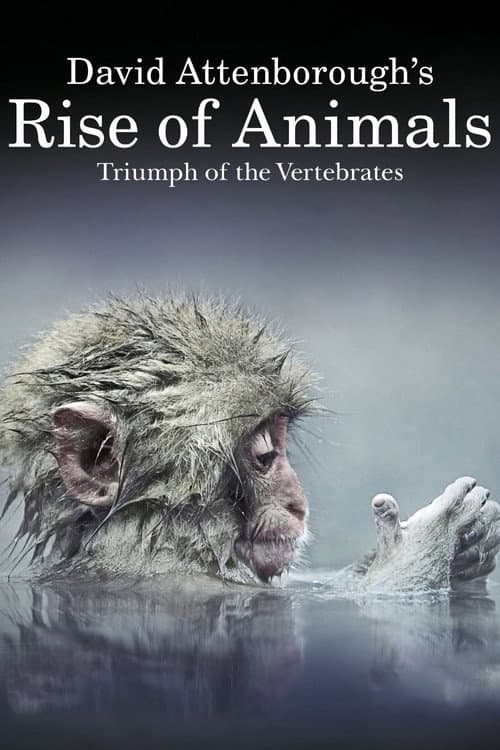 David Attenborough's Rise of Animals: Triumph of the Vertebrates (2013) poster