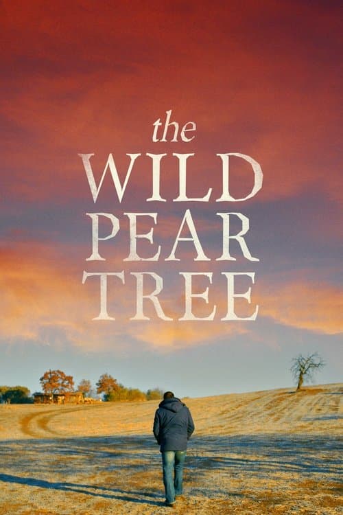 The Wild Pear Tree (2018) poster