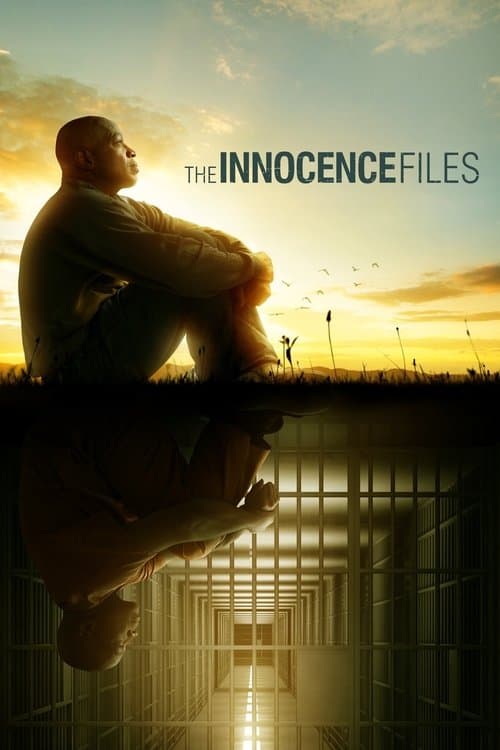 The Innocence Files (2020) poster