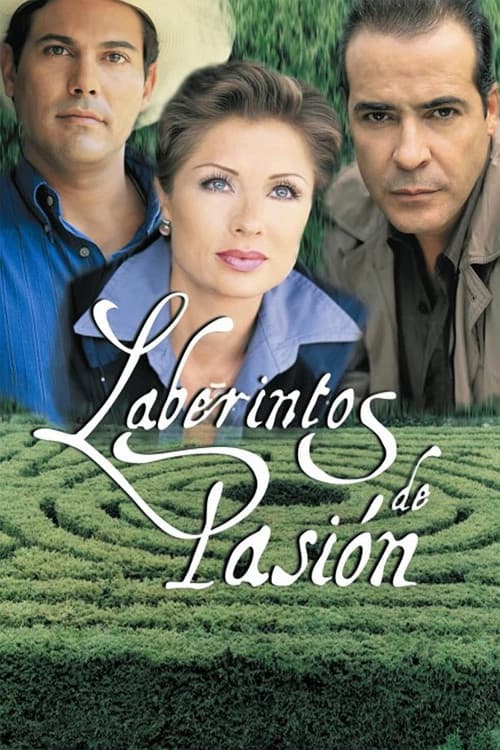 Labyrinth of Passion (1999) poster