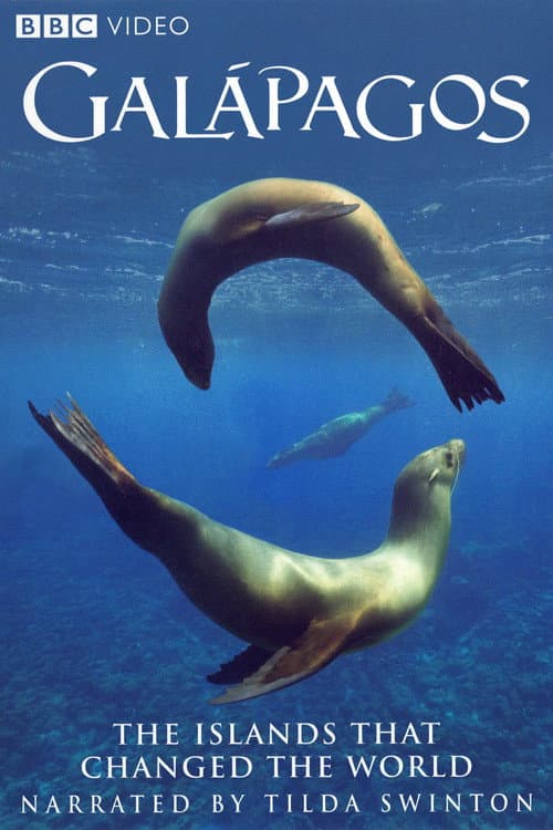 Galapagos (2006) poster