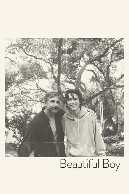 Beautiful Boy (2018) poster