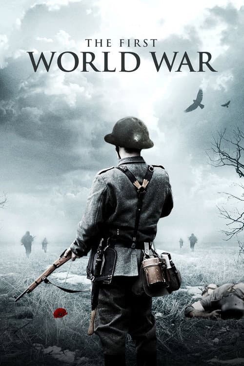 The First World War (2003) poster
