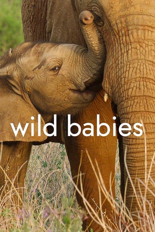 Wild Babies (2022) poster