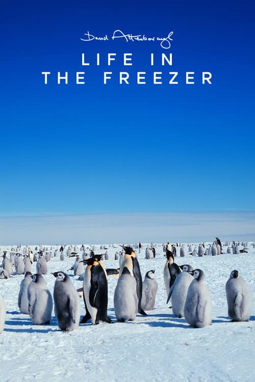 Life in the Freezer (1993) poster