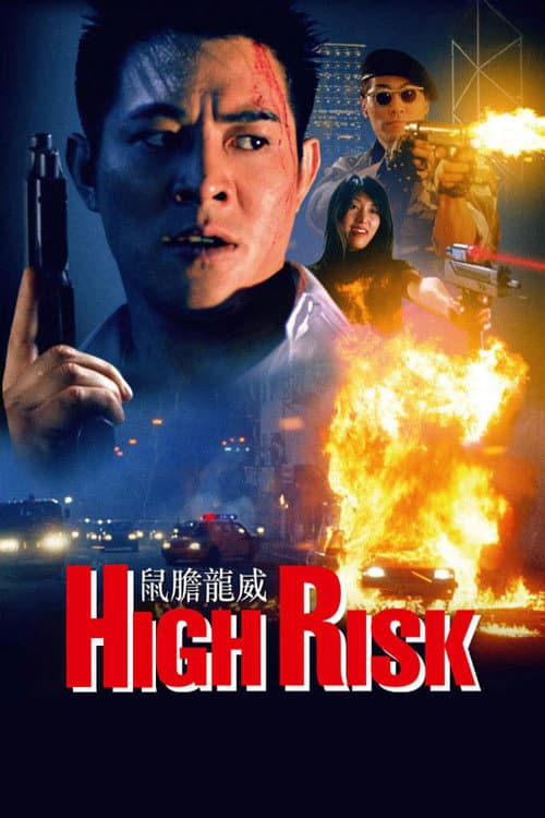 High Risk (1995) poster