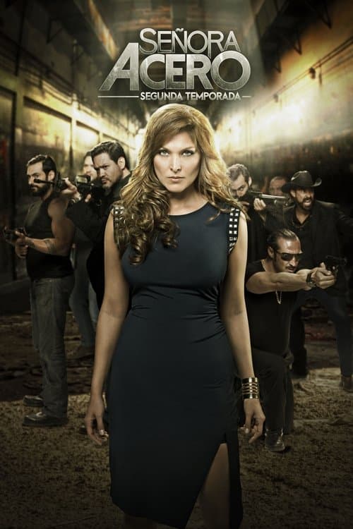 Senora Acero (2014) poster