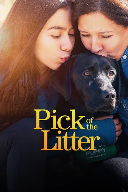 Pick of the Litter (2019) poster
