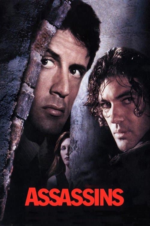Assassins (1995) poster