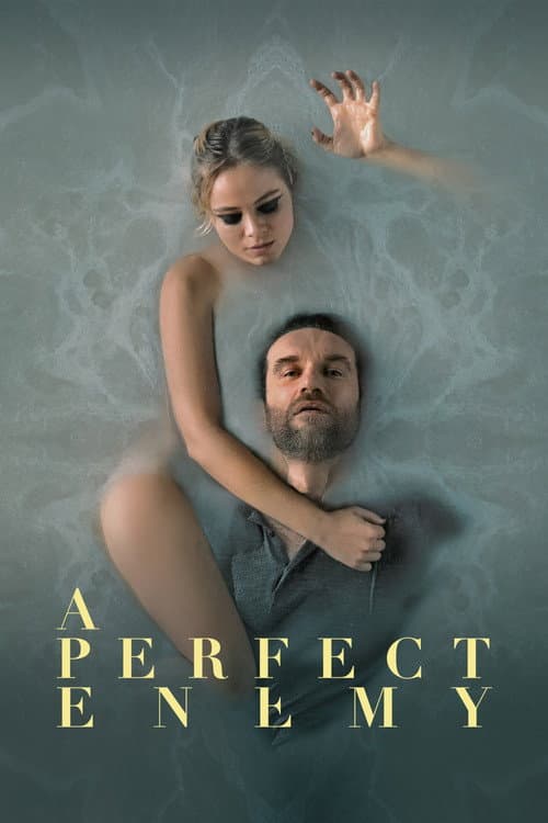 A Perfect Enemy (2021) poster