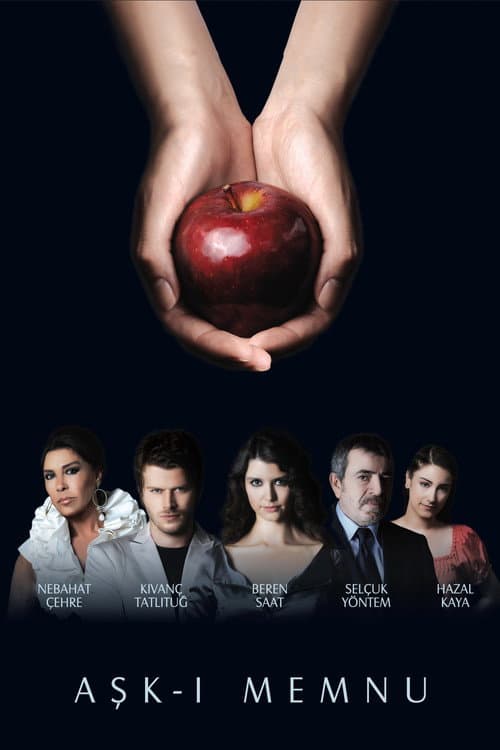 Forbidden Love (2008) poster