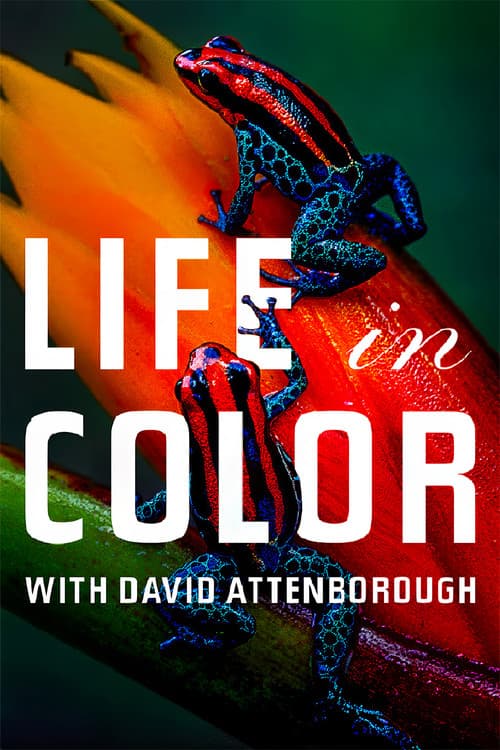 Attenborough's Life in Colour (2021) poster