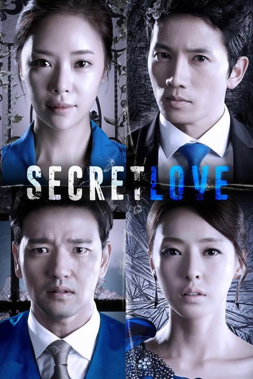 Secret Love (2013) poster