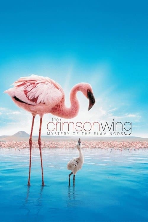 The Crimson Wing: Mystery of the Flamingos (2008) poster