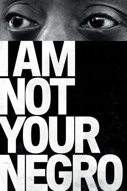I Am Not Your Negro (2017) poster
